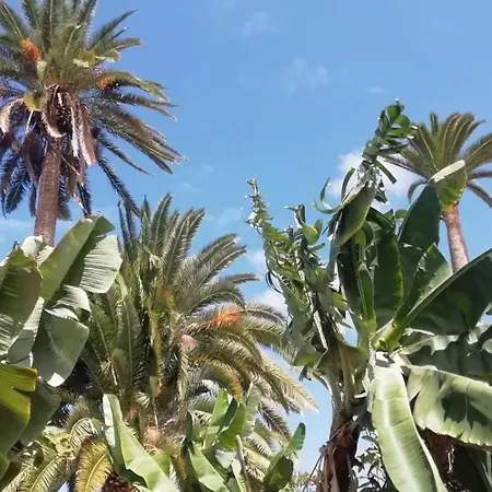 Tapias, Casa Mane Feriehus Puerto de la Cruz (Tenerife)