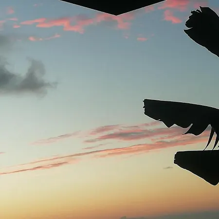 Tapias, Casa Mane Πουέρτο Ντε Λα Κρουζ