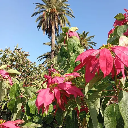 Σπίτι διακοπών Tapias, Casa Mane