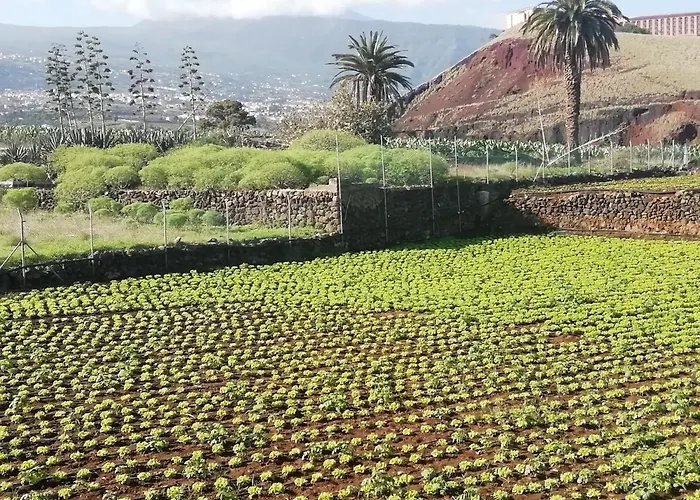 Tapias, Casa Mane Vakantiehuis Puerto de la Cruz (Tenerife)