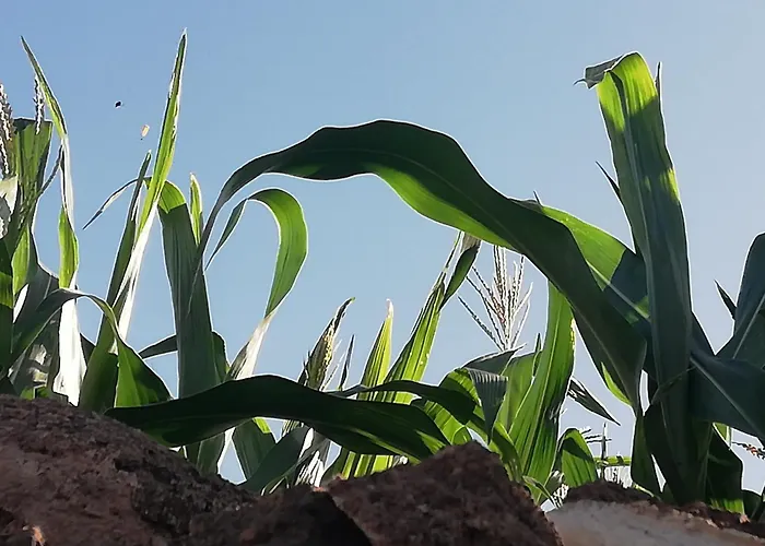 Tapias, Casa Mane Vakantiehuis