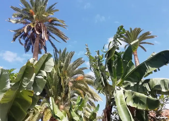 Tapias, Casa Mane Vakantiehuis Puerto de la Cruz (Tenerife)