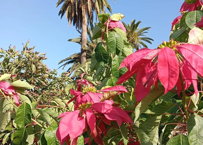 Vakantiehuis Tapias, Casa Mane