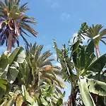 Tapias, Casa Mañé Hébergement de vacances Puerto de la Cruz (Tenerife)
