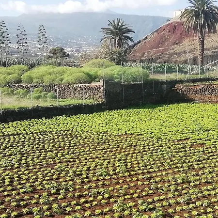 Tapias, Casa Mañé Hébergement de vacances Puerto de la Cruz (Tenerife)